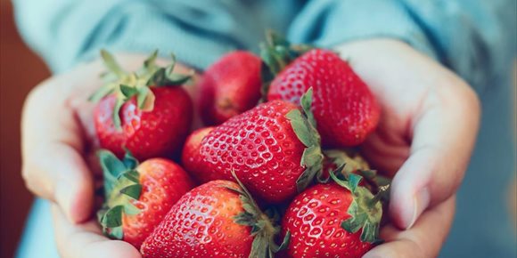 2. Los beneficios de las fresas: puede mejorar la función cognitiva y la presión arterial