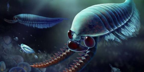 2. Un ancestro con tres ojos de los crustáceos rellena brecha evolutiva