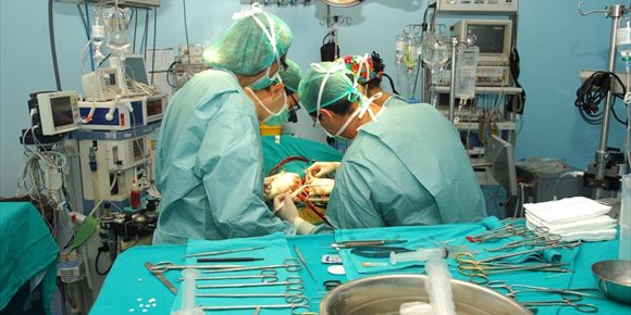 6. Un anticuerpo prometedor para prevenir el rechazo de órganos tras un trasplante