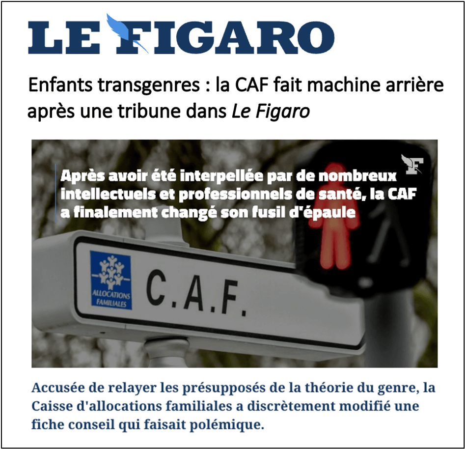 Aperçu article Le Figaro CAF