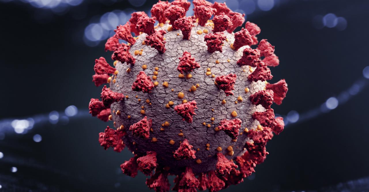 Des chercheurs ont trouvé un gros point faible du coronavirus !