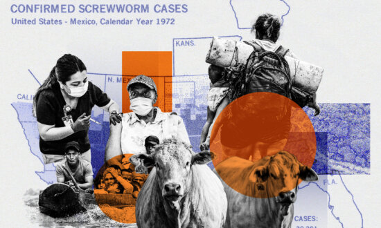 Experts Warn Mass Migration Threatens US Food Security