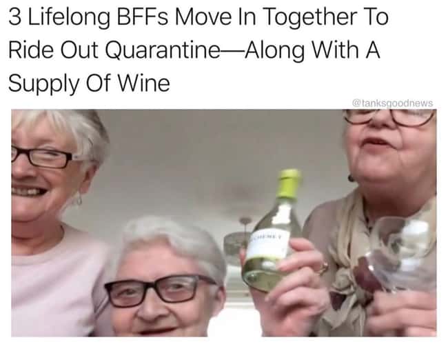 The Golden Girls Are Real is listed (or ranked) 8 on the list 24 Pieces Of Wholesome Good News That Made Our Day A Little Brighter