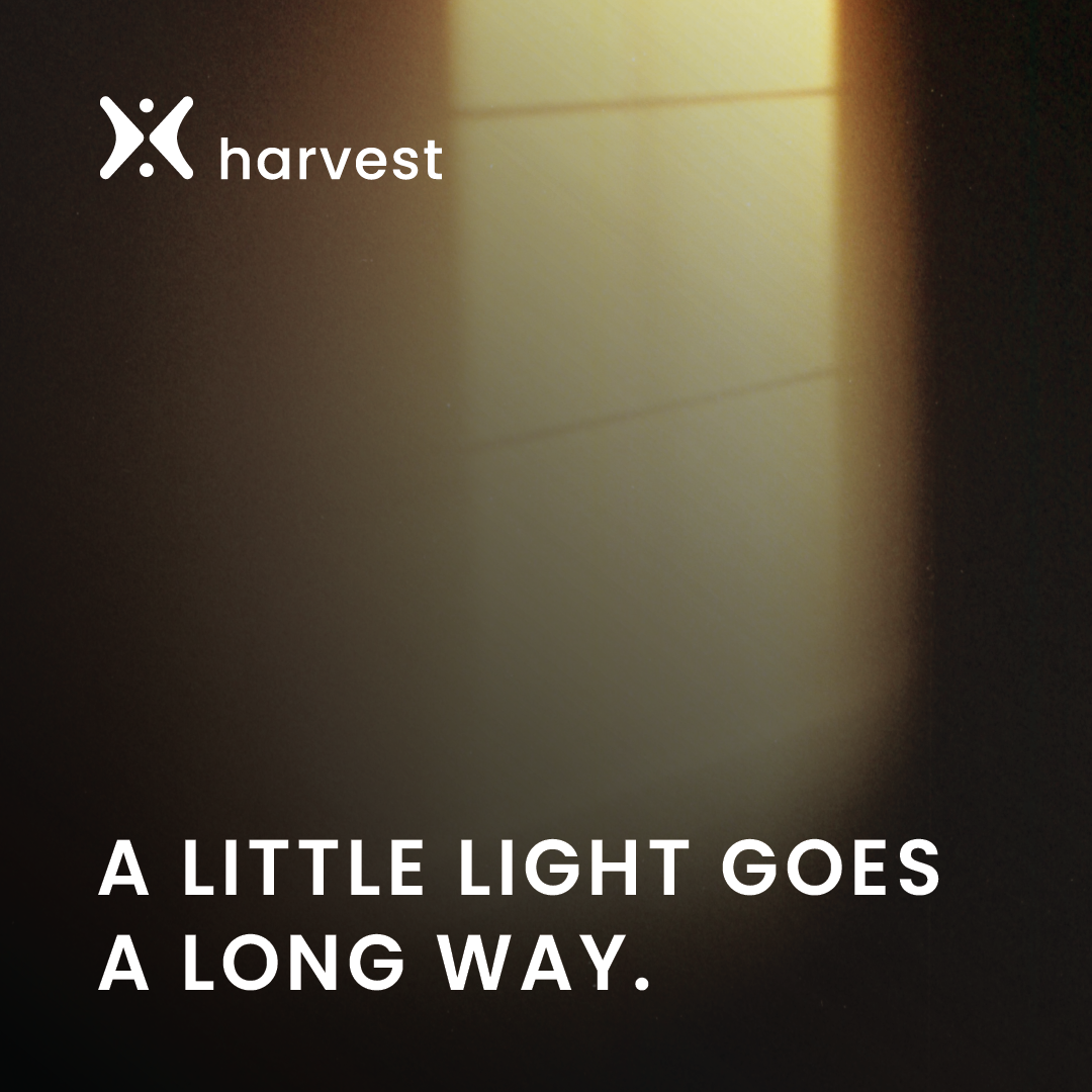 A little light goes a long way.