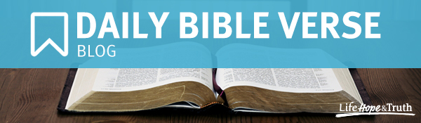 Daily Bible Verse Blog