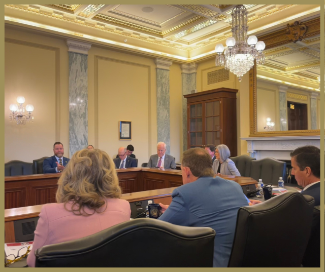 Creative_DOGE_Senate_Meeting.png Image