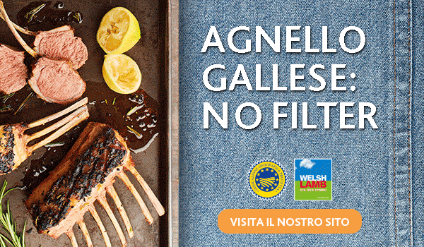 Agnello Gallese Agnello Gallese