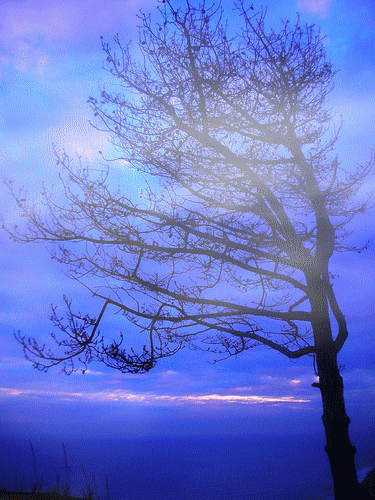 La Bora a 110 all'ora – Everyday forever… I hope