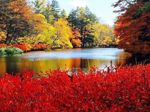 5 điểm đến mùa thu sẽ khiến bạn ngất ngây vì phong cảnh đẹp như trong mơ - Ảnh 11.