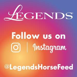 Follow us on Instagram @LegendsHorseFeed