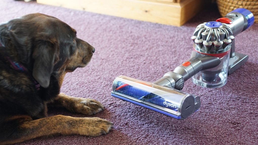 Image result for dyson dog and cat vacuum