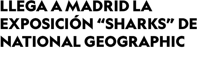 LLEGA A MADRID LA EXPOSICIÓN 'SHARKS' DE NATIONAL GEOGRAPHIC