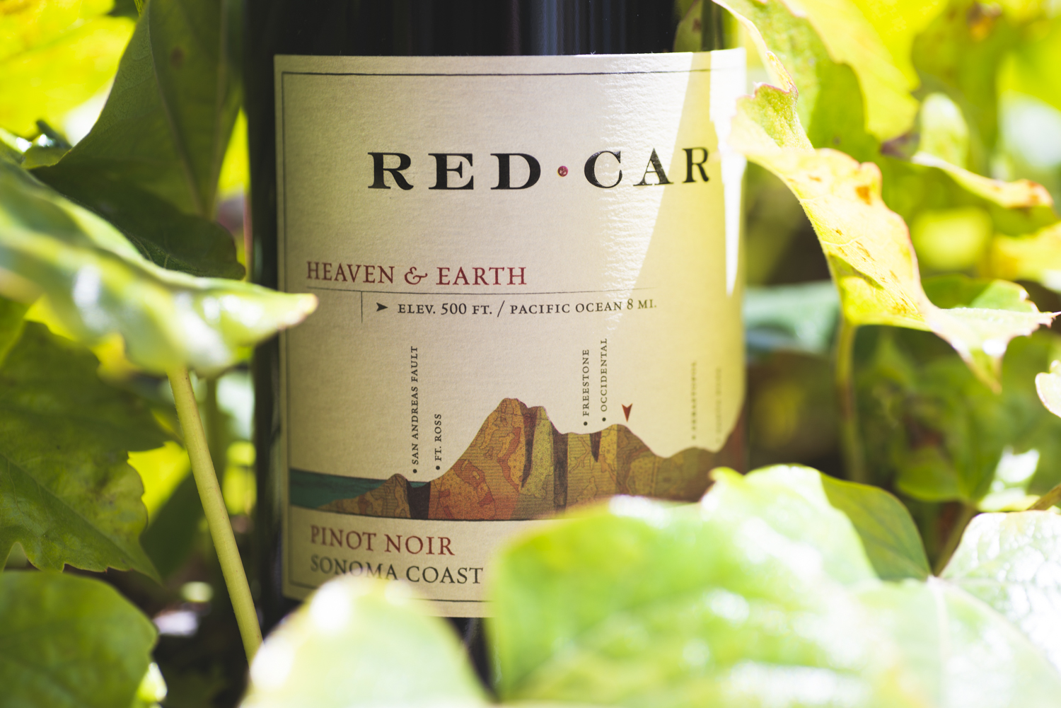  Red Car Wine Co Update