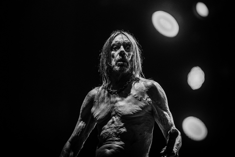 IGGY POP: NEW ALBUM, EVERY LOSER, OUT JANUARY 6