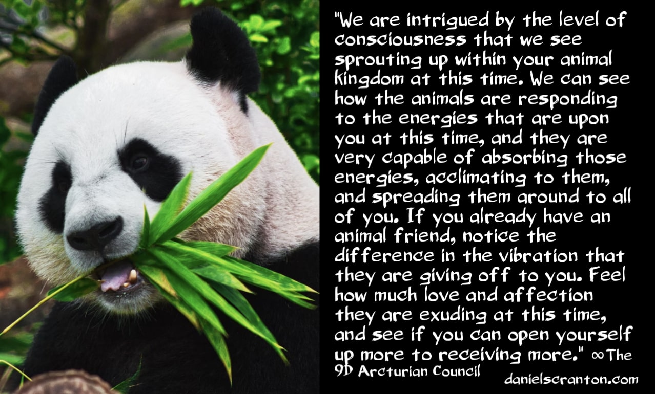 mail?url=https%3A%2F%2Fmcusercontent.com%2F37d20e8ead4543118edddb81a%2Fimages%2F4a75381a-1f4b-a599-34e7-570dbdcf9d28.jpg&t=1631769714&ymreqid=123c6210-41ea-d18a-2f2c-5a000c01aa00&sig=zoTS.pG3XYPdDTjihajlxA--~D