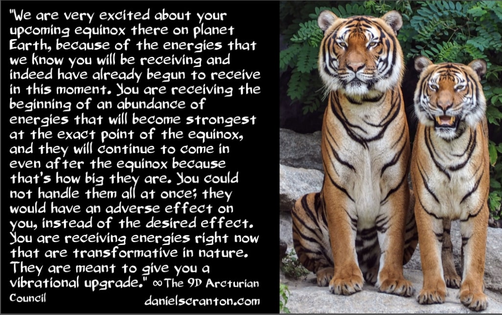 mail?url=https%3A%2F%2Fmcusercontent.com%2F37d20e8ead4543118edddb81a%2Fimages%2Fce8b93b4-5b27-5b96-7a5c-deca9649568b.jpg&t=1631893644&ymreqid=123c6210-41ea-d18a-2f2c-5a0011013900&sig=FT4_yH91kWL6i7xeIjw75A--~D