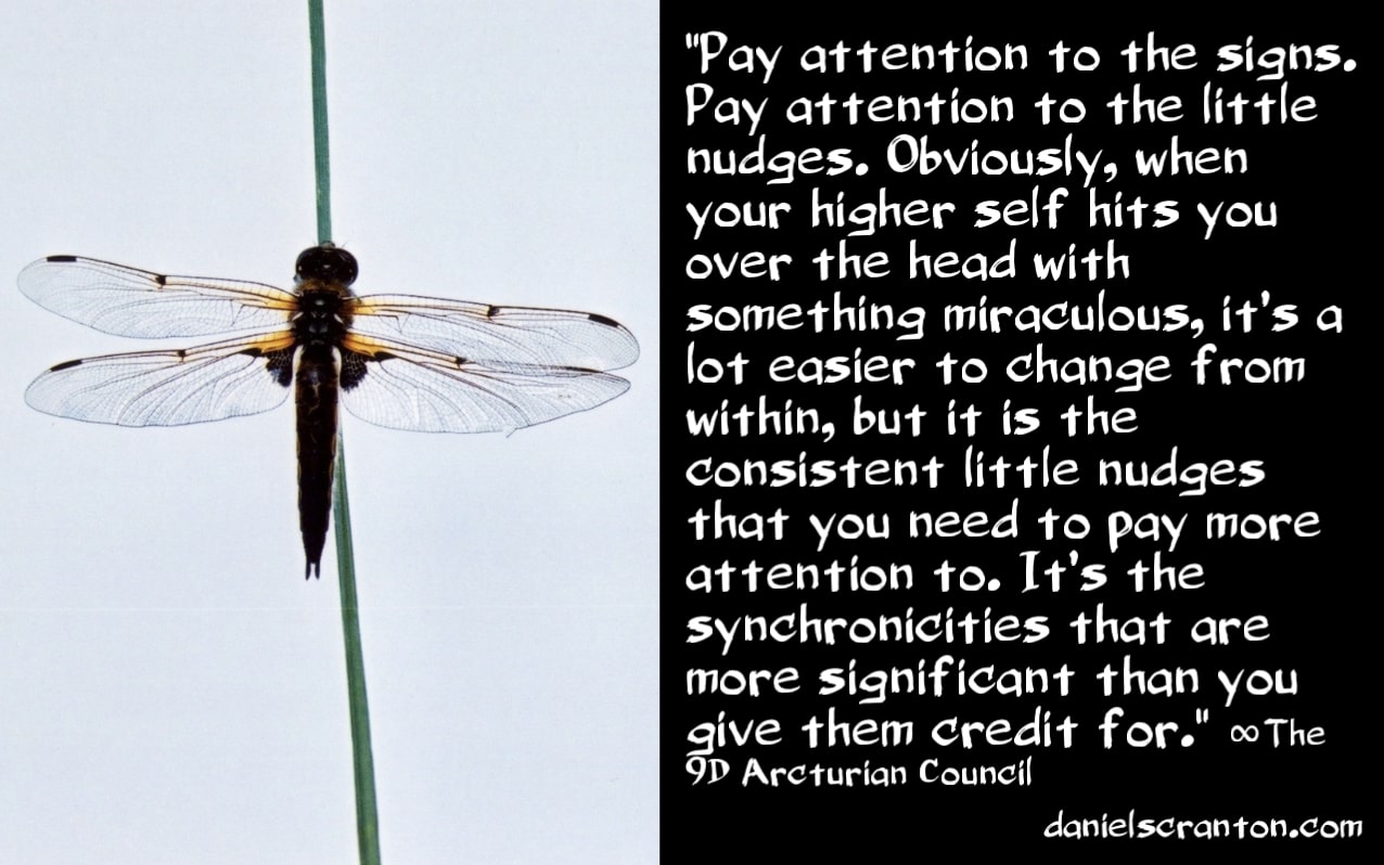 mail?url=https%3A%2F%2Fmcusercontent.com%2F37d20e8ead4543118edddb81a%2Fimages%2Ff377fbca-266d-4bd7-850b-74d496614fb6.jpg&t=1639385884&ymreqid=123c6210-41ea-d18a-2f2c-5a004101a500&sig=Mv0DK_eLoPZMk9BDauzMmA--~D