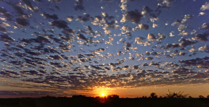 Popcorn sky over Botswana by Steven Grueber