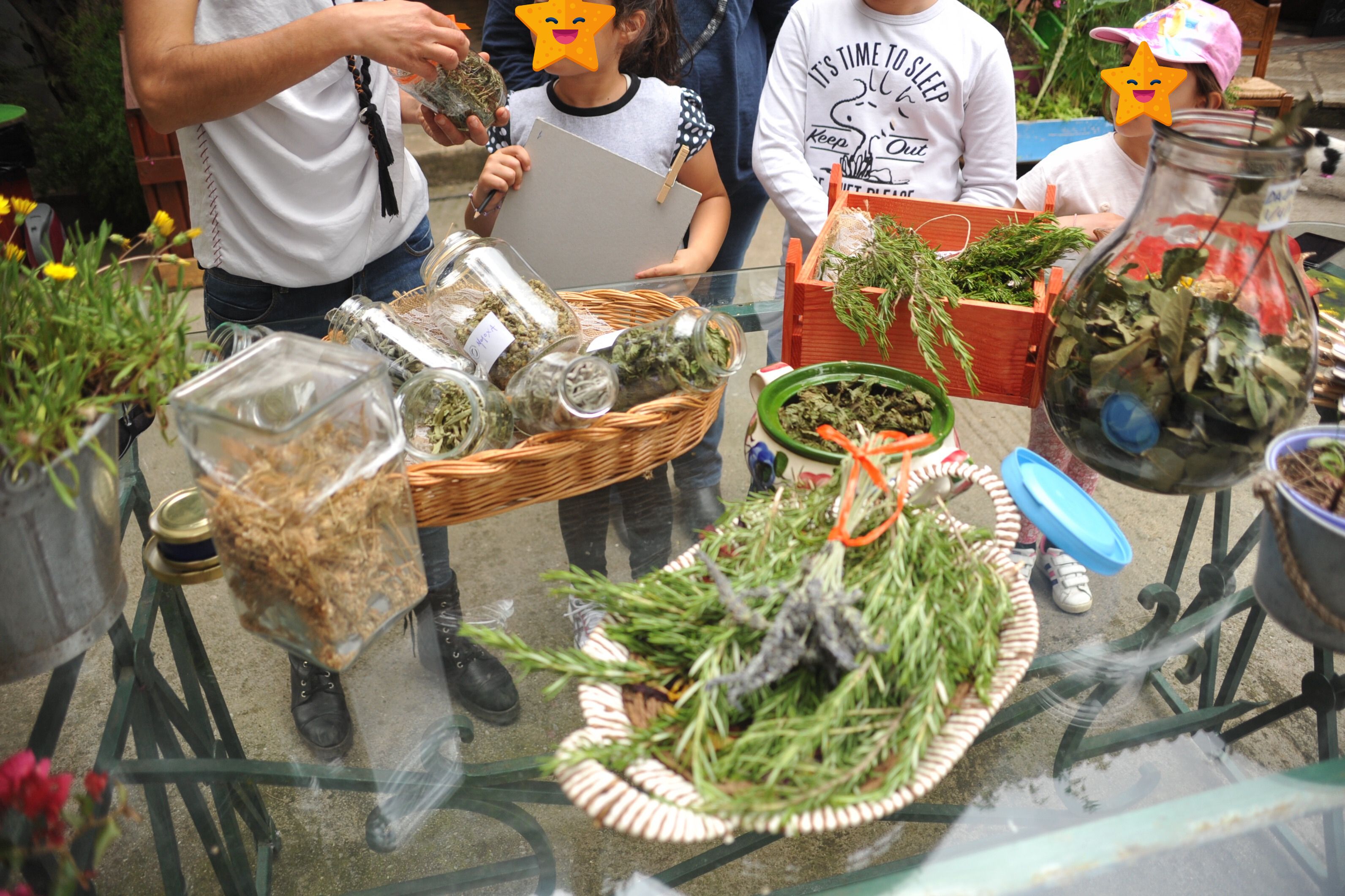 Οι σχολικοί κήποι της Αειφορίας Οι σχολικοί κήποι της Αειφορίας