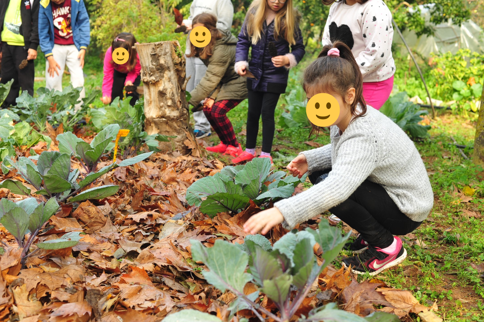 Οι σχολικοί κήποι της Αειφορίας Οι σχολικοί κήποι της Αειφορίας