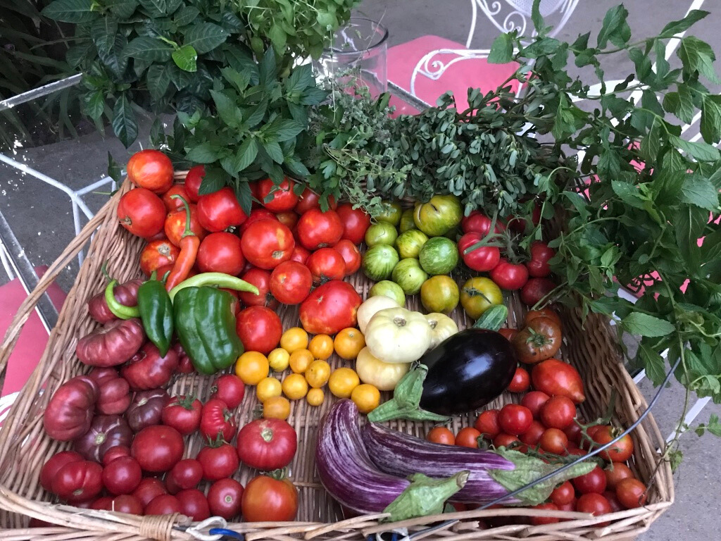 Οι σχολικοί κήποι της Αειφορίας Οι σχολικοί κήποι της Αειφορίας