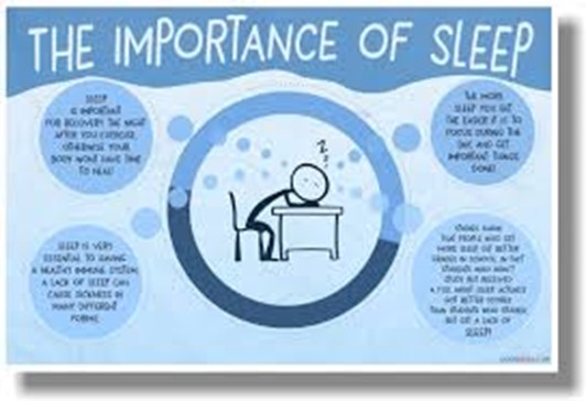 importance of sleep 