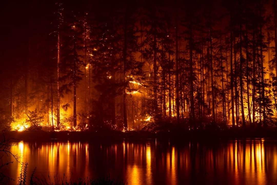 Oregon Wildfire 2020