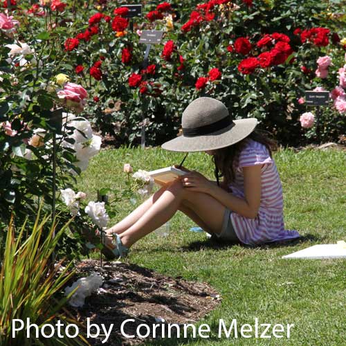 Girl painting in the rose garden by Corinne Melzer