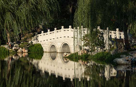 Chinese Garden bridge