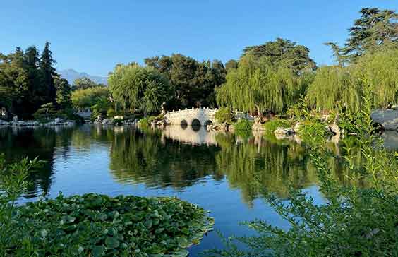 Chinese Garden lake