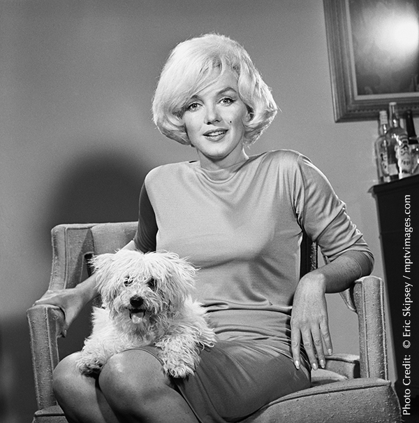 Marilyn in Pucci dress