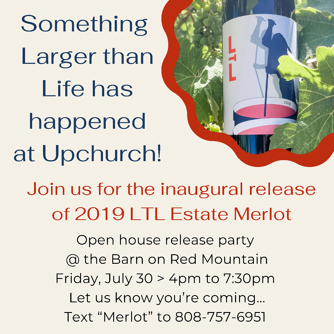  Upchurch Vineyard Update