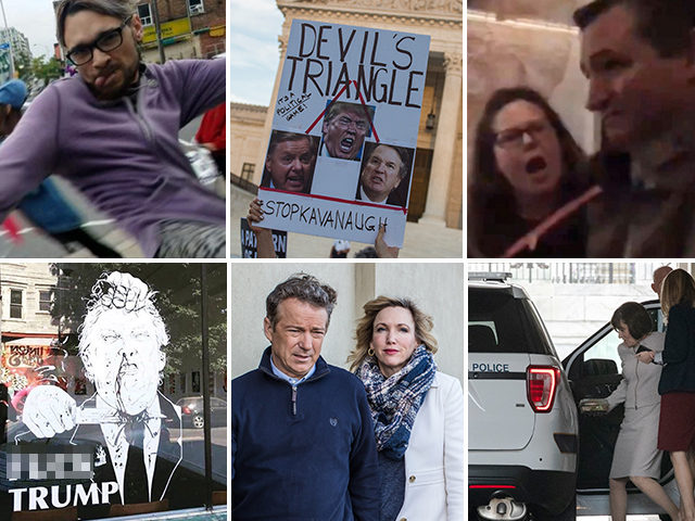 anti-trump-violence-6panel-2
