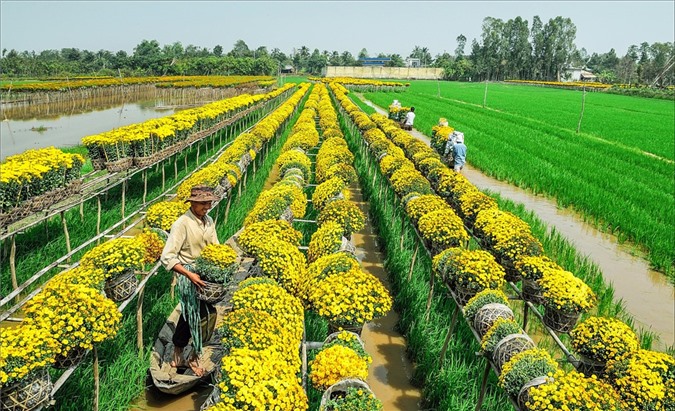 10 làng quê Việt Nam đẹp cổ kính, nên thơ, nhắc tên là thấy tự hào 10 lang que viet nam dep co kinh nen tho nhac ten la thay tu hao