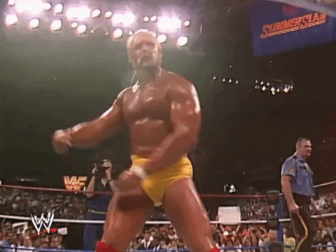Image result for Hulk Hogan. gif