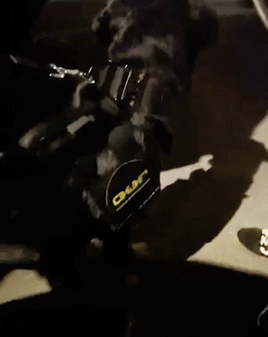 Gif of O.U.R. K-9 and car outside of house in Mexico where authorities arrested Maatman.