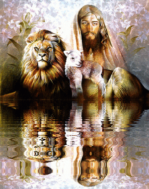 Visualizza immagine di origine