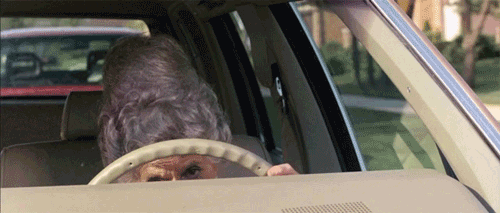 Image result for old woman driving gif