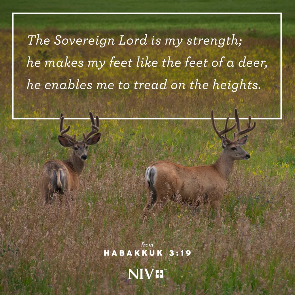 19 The Sovereign Lord is my strength; he makes my feet like the feet of a deer, he enables me to tread on the heights. For the director of music. On my stringed instruments.
 Habakkuk 3:19