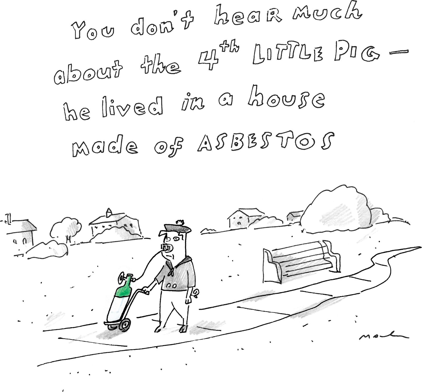 Porco andando com tanque de oxigênio.