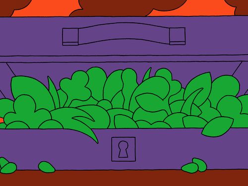 An illustration shows an opened purple suitcase with leaves and plants springing out of it.