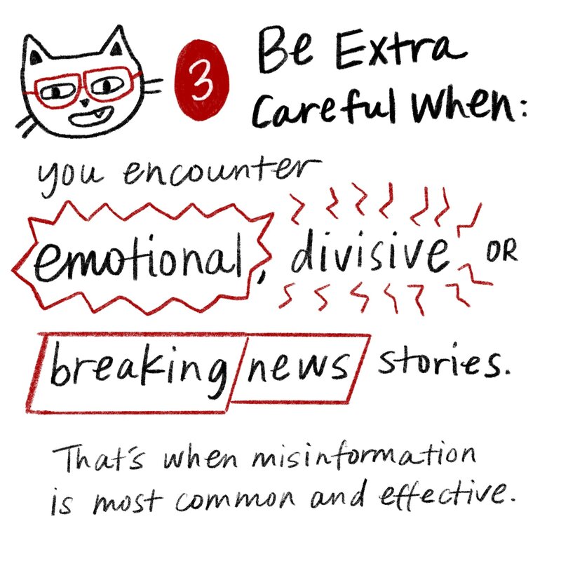 Tip 3: Be extra careful when you encounter emotional, divisive or breaking news stories. That's when misinformation is most common and effective.