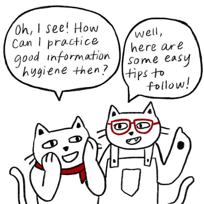 "Oh, I see!" says Bandanna Cat. "How can I practice good information hygiene then?" "Well, here are some easy tips to follow," answers Glasses Cat.