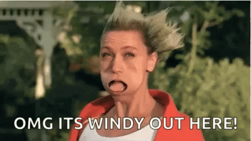 Very Windy Funny GIF