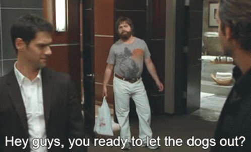 Let The Dogs Out Are You Ready GIF Let The Dogs Out Are You Ready GIF