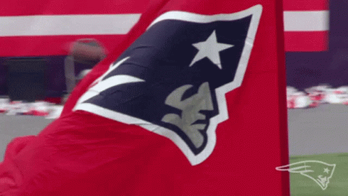 Patrots New England GIF Patrots New England GIF