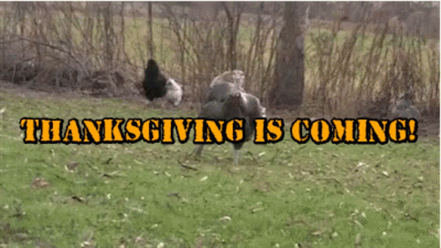 Thanksgiving Break Turkey GIF Thanksgiving Break Turkey GIF