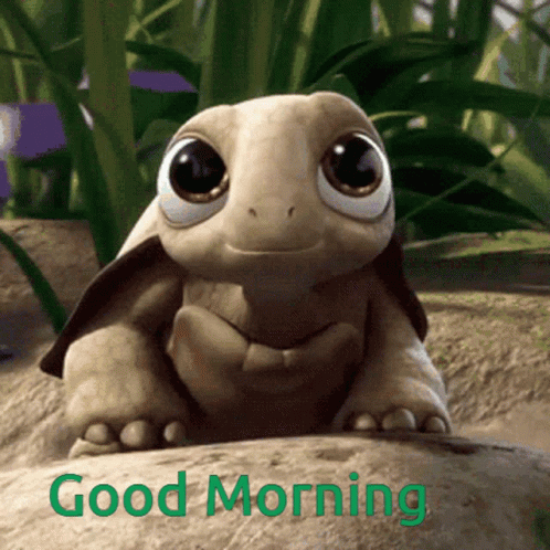 Good Morning GIF Good Morning GIF