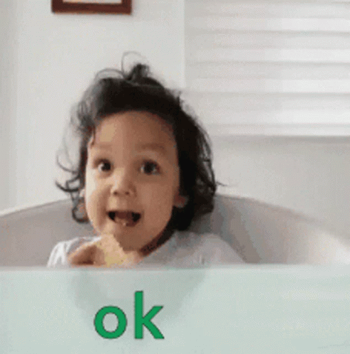 You Got It Ok GIF You Got It Ok GIF