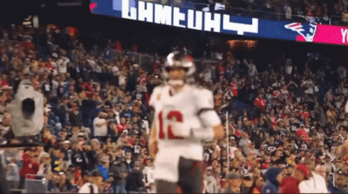 Tom Brady GIF Tom Brady GIF